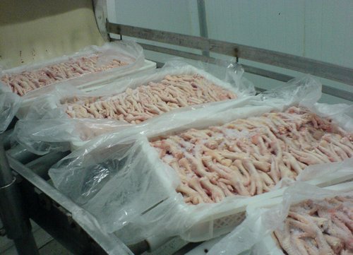 Frozen Chicken Feet pack