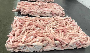 Frozen Chicken Feet Ready To Packing